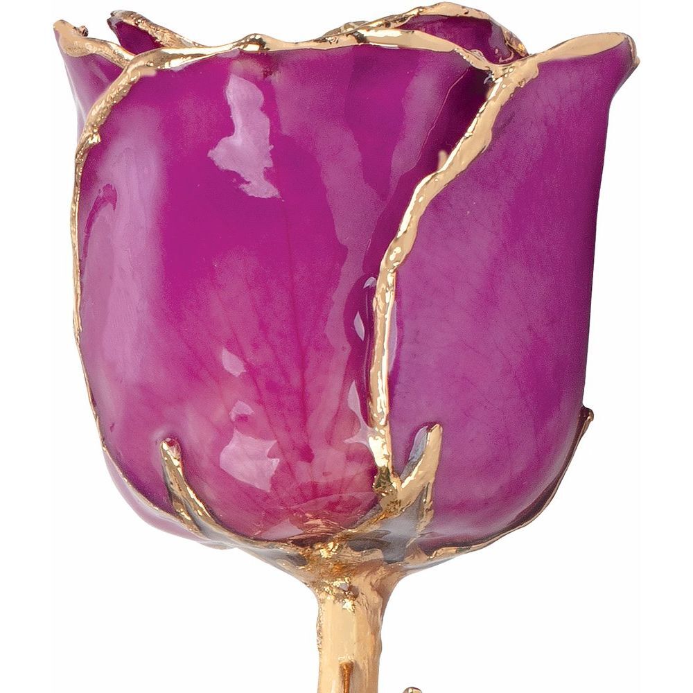 24k Gold Dipped Amethyst Colored Lacquer Real Rose Valentine’s Day Holiday Gift