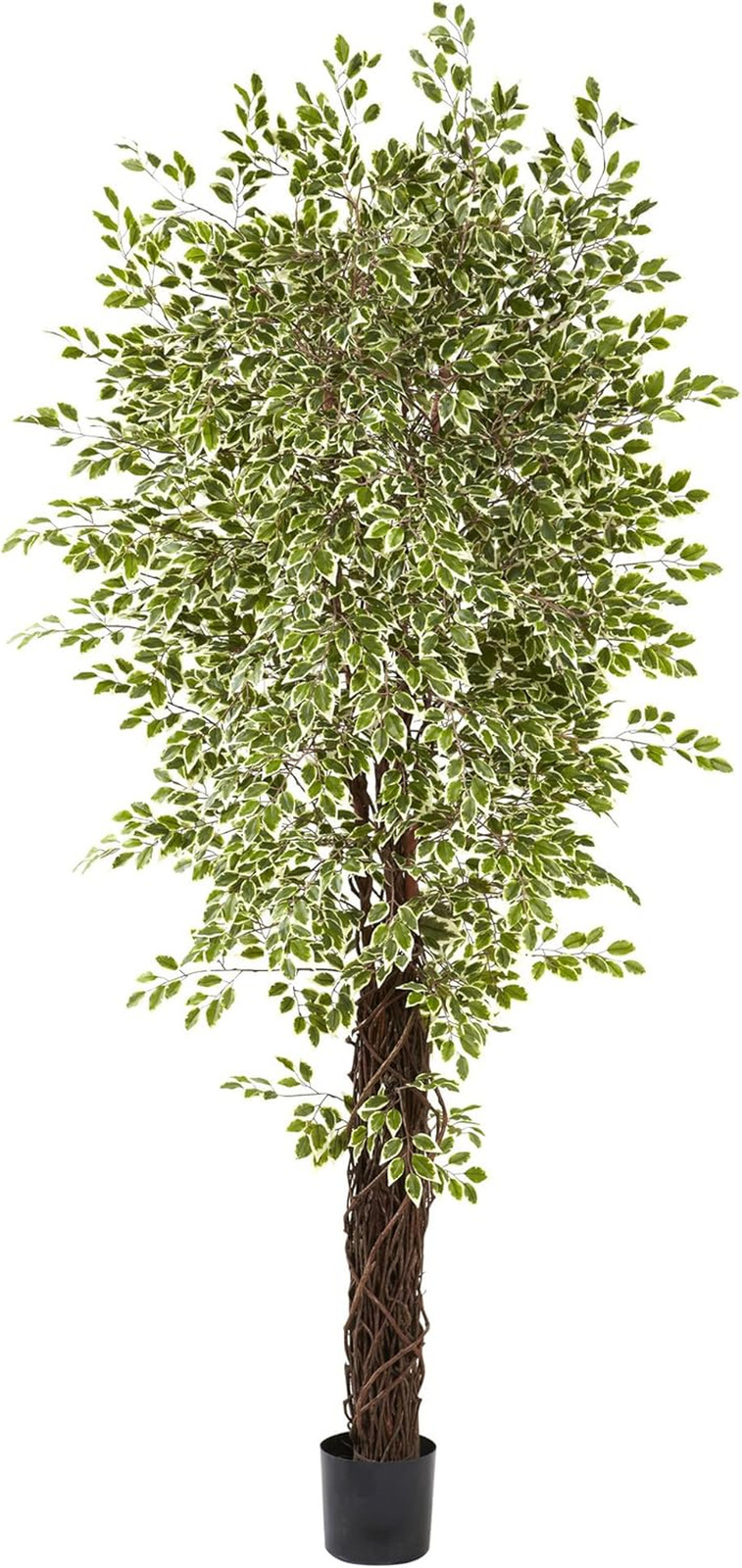 7.5Ft Variegated Mini Ficus Tree – Lifelike Indoor Plant for Home Decor