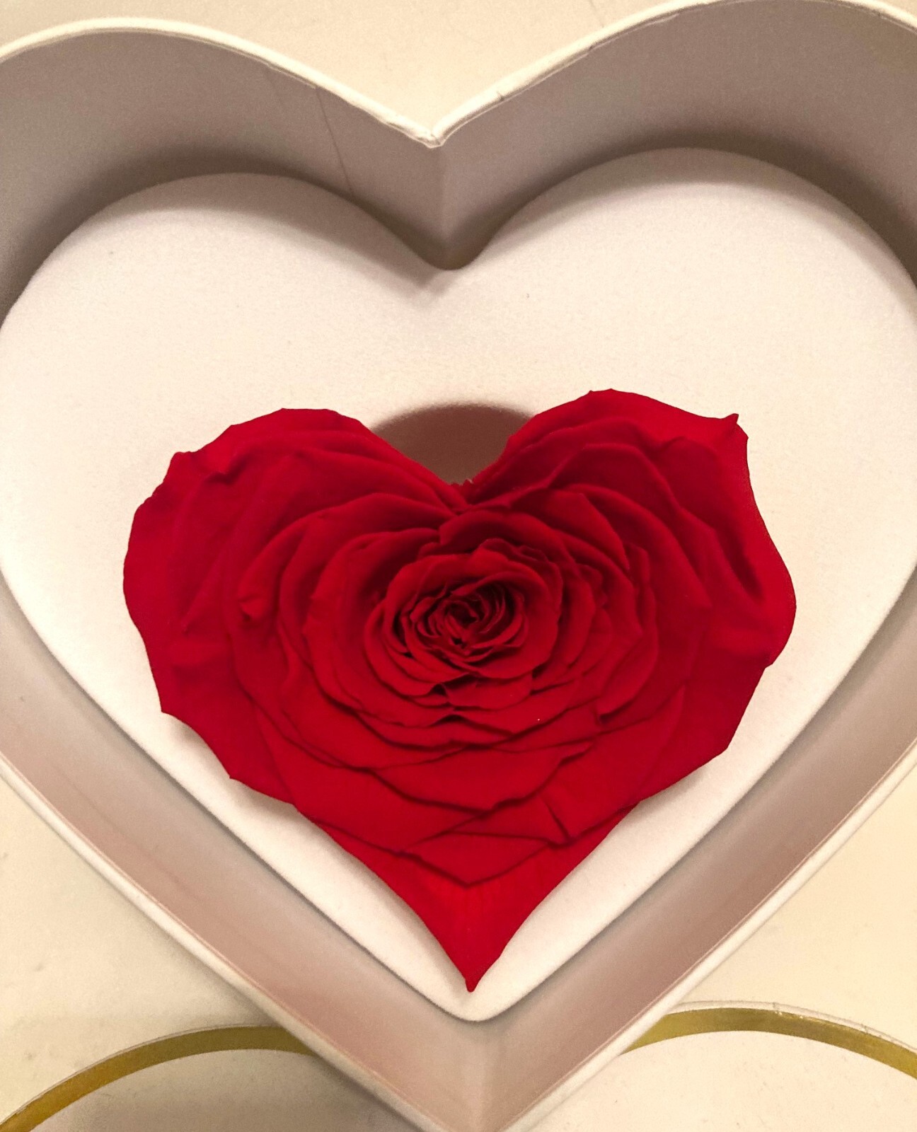 Eternal Roses NY Preserved Red Rose Valentine Scented Flower Box 4″ W