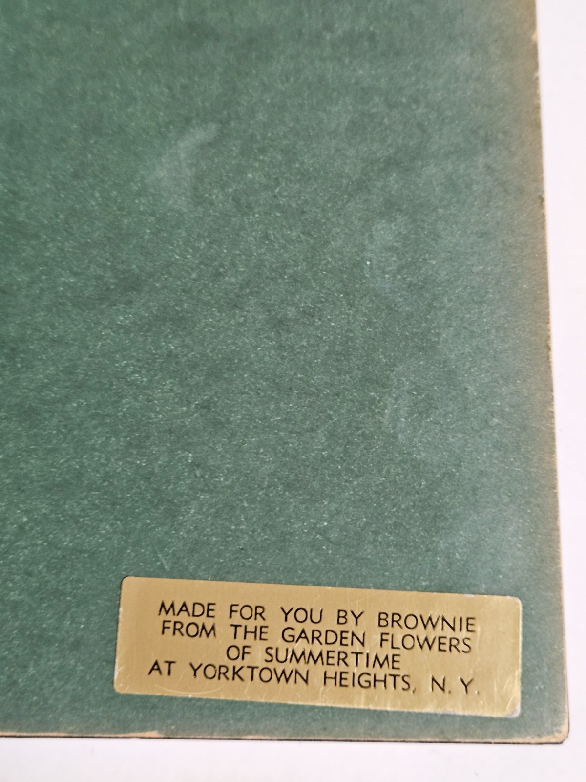 2 Vintage HENRIETTA BROWNIE STRONG Flowers BUTTERFLIES frame YORKTOWN HEIGHTS NY