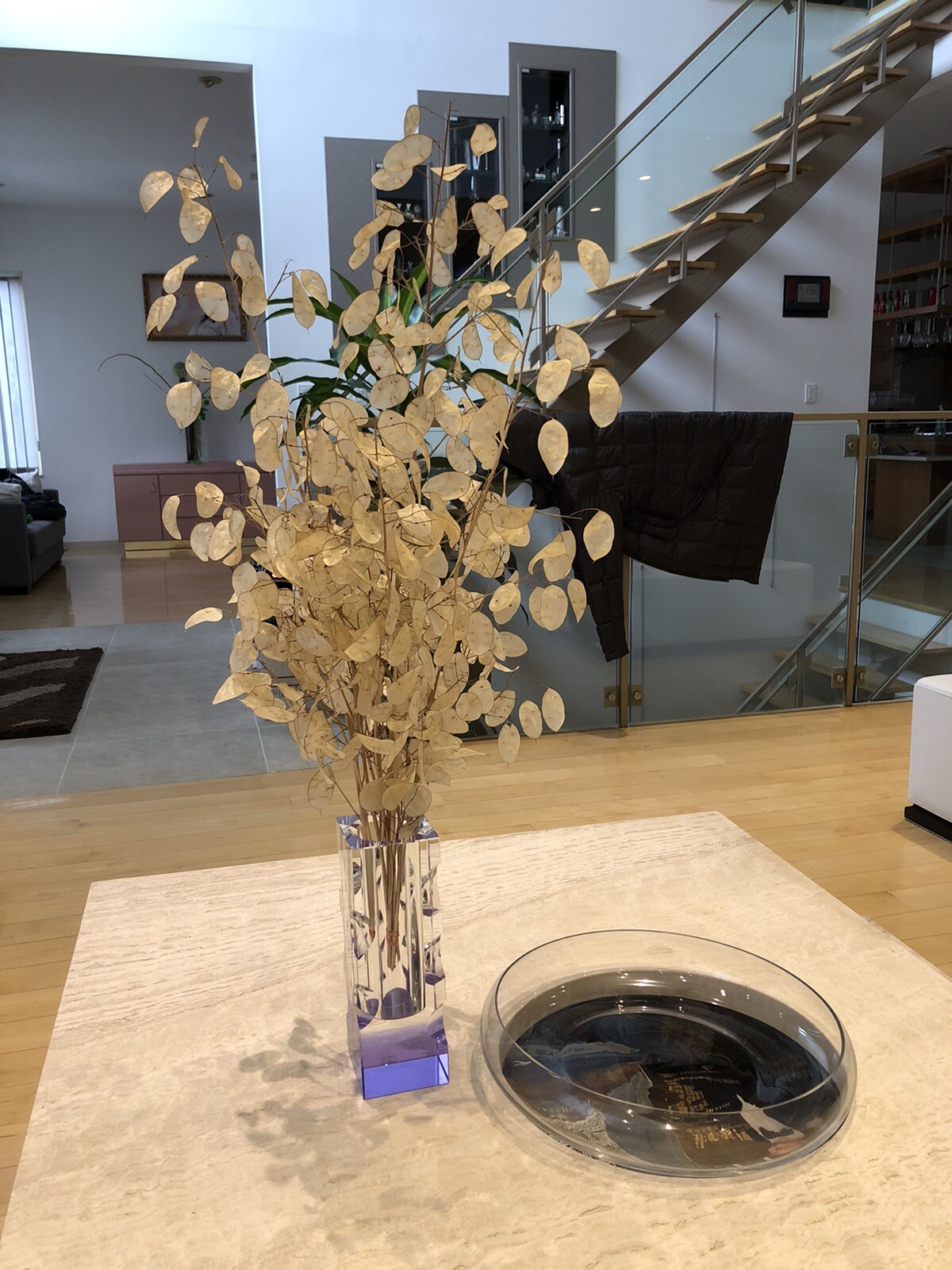 DRIED LUNARIA MOONWORTH HONESTY SILVER DOLLAR PLANT 11 STEMS 17-33” In