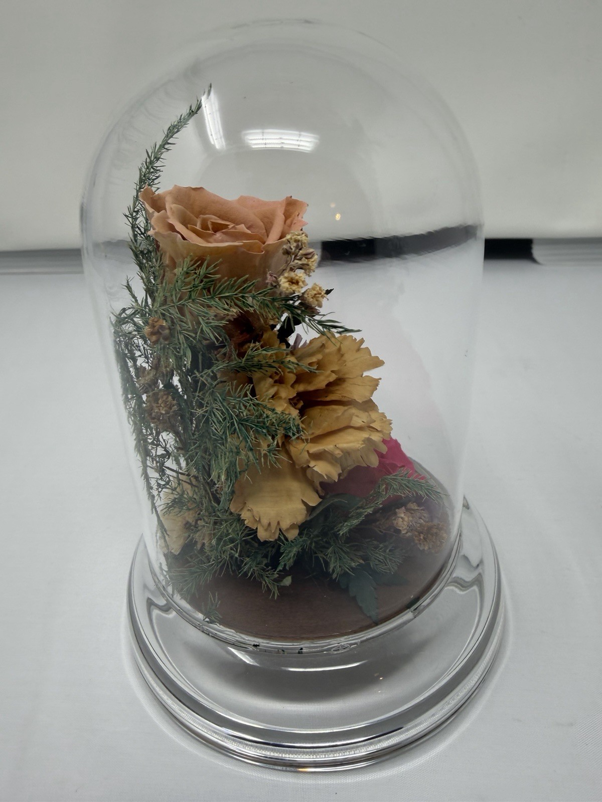 Natural Expressions Freeze Dried Rose Floral Keepsake Glass Dome Decor