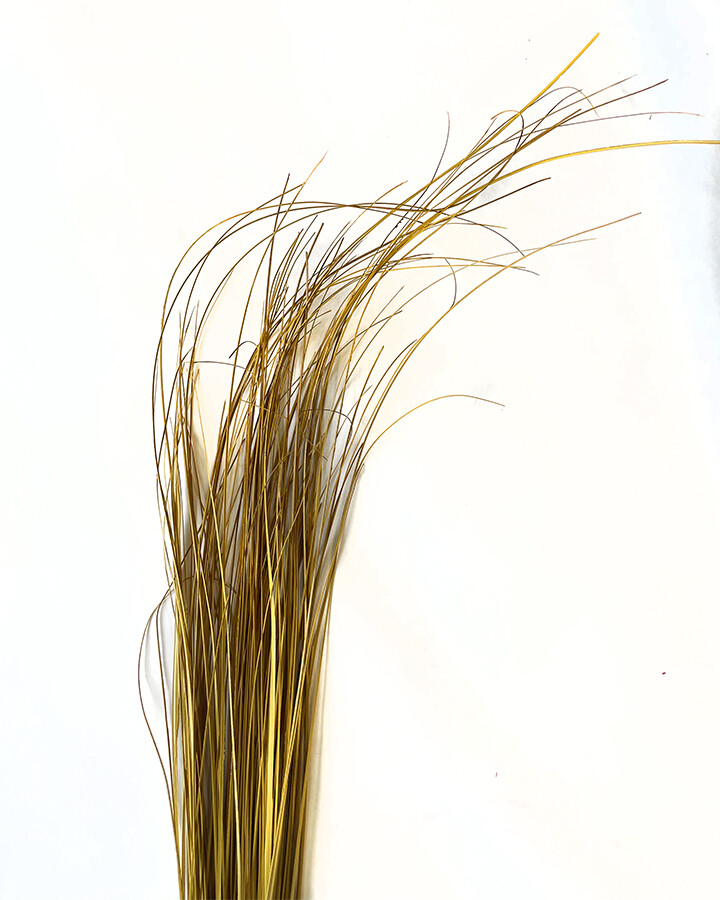 Wispies Pack of 100 Stems 4-5ft Yellow