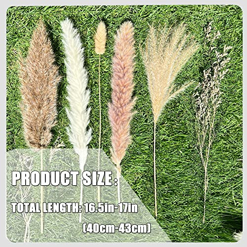 100Pcs Pampas Grass Boho Home Decor 17 inch Natural Dried Flowers-Pampas Grass