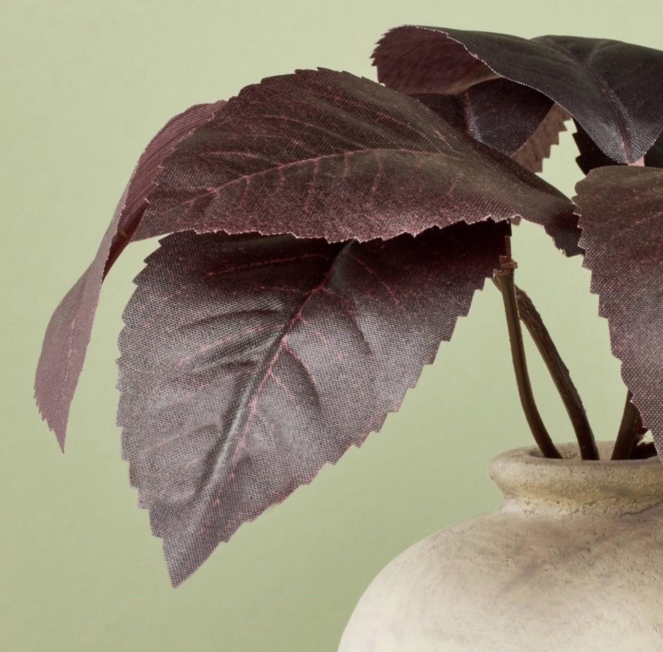 6.5″ Black Plum Leaf Artificial Plant Arrangement Hearth & Hand with Magnolia