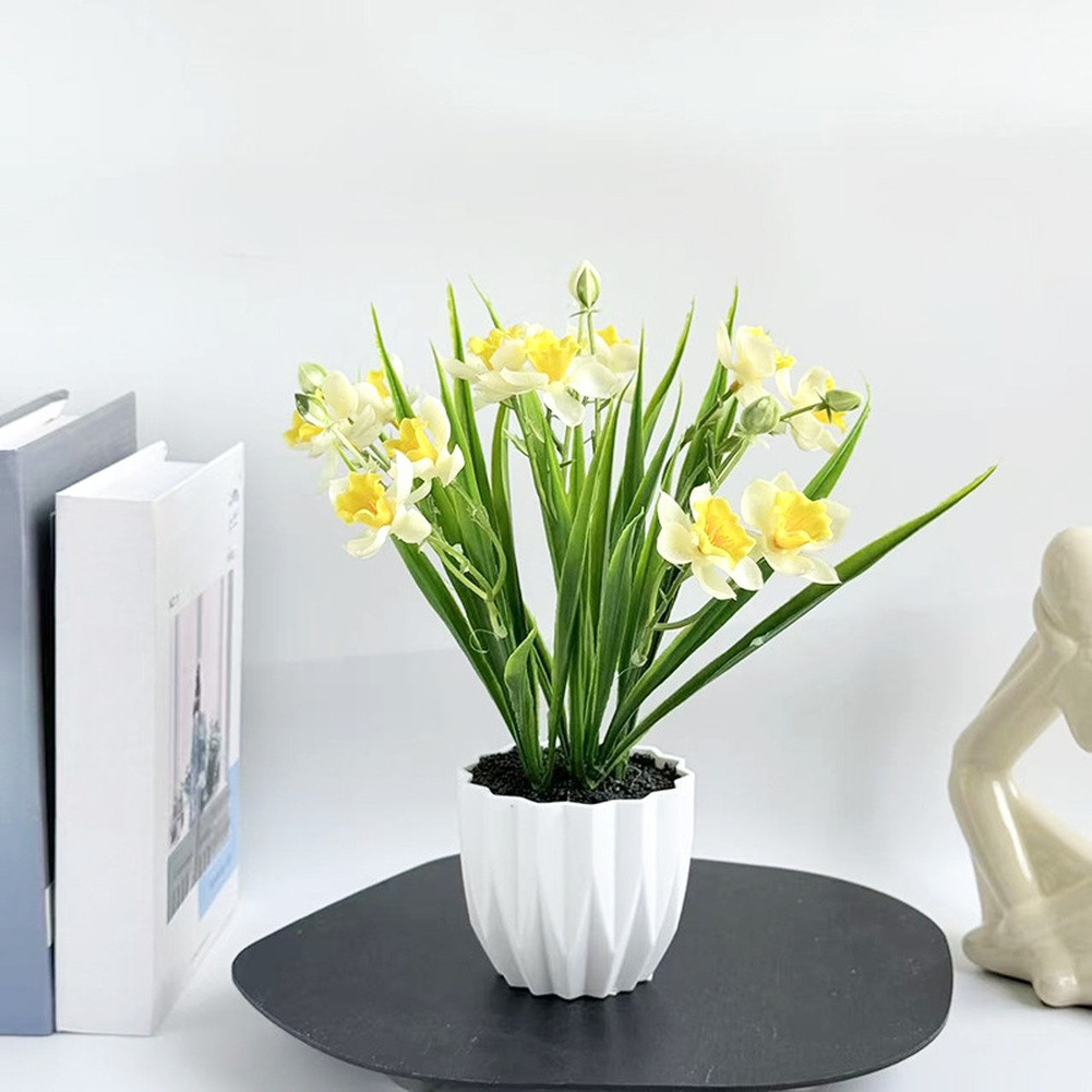 26.5 x 9.5cm Narcissus Flower Arrangement in Pot for Indoor Floral Styling