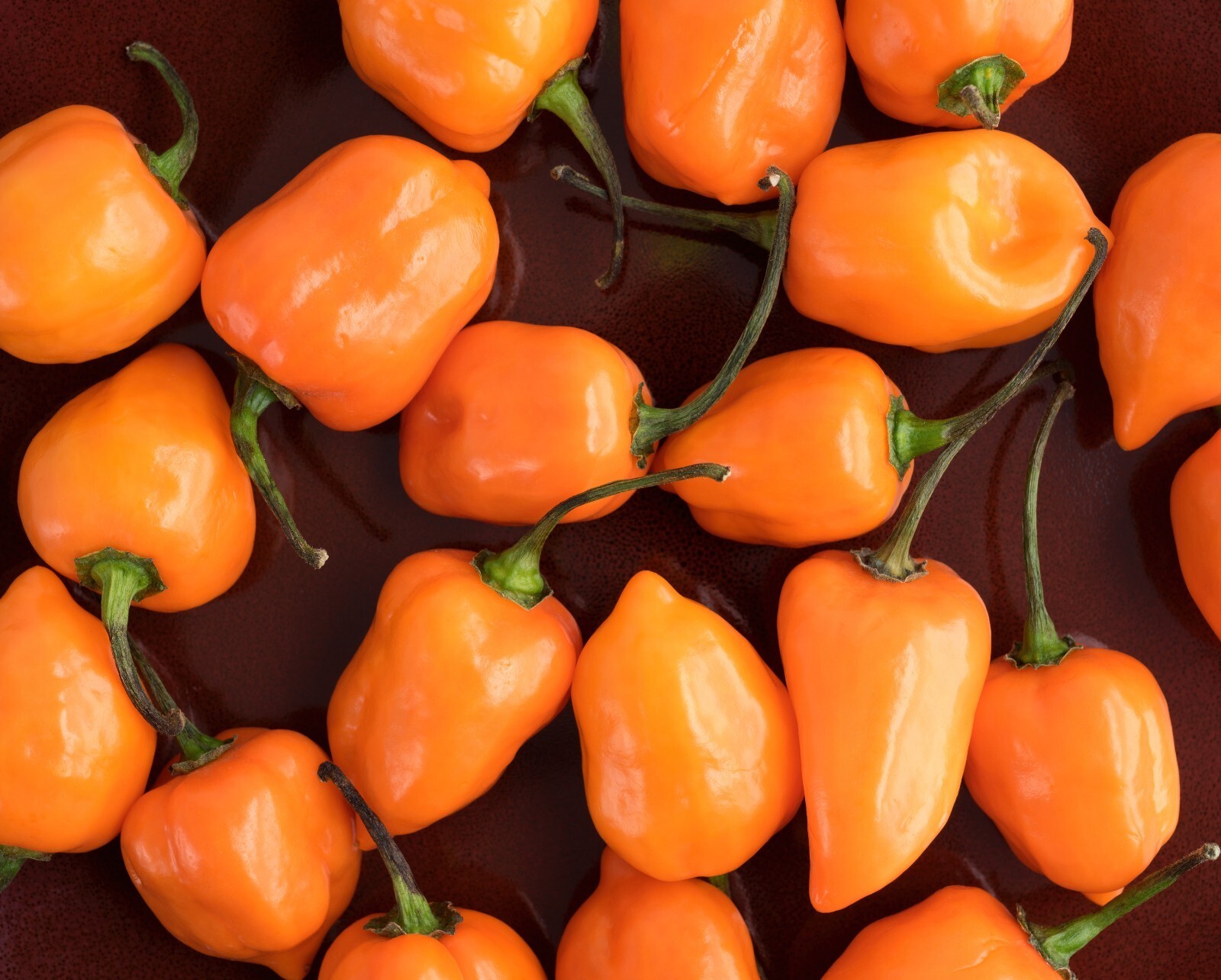 30 Habanero Orange Devil Seed Chili 100% Guaranteed