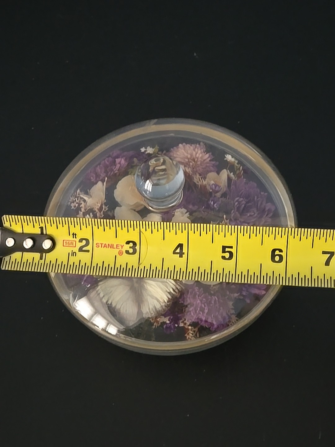 Vintge Apothecary Round Dome Dish Display w Lid Terrarium Floral Dried Flowers