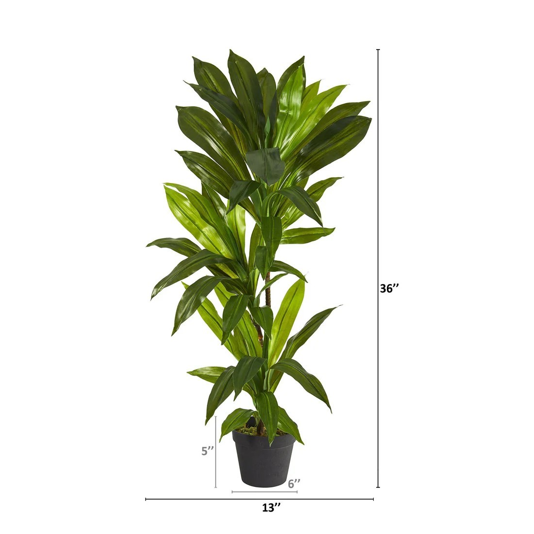 3′ Dracaena Artificial Plant (Real Touch)