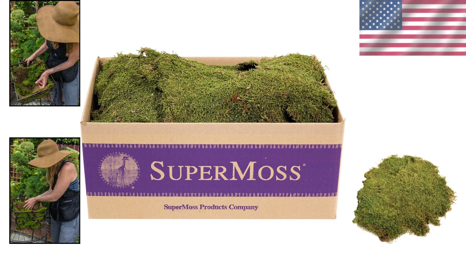 Sheet Moss for Terrariums, 20-24 sq ft