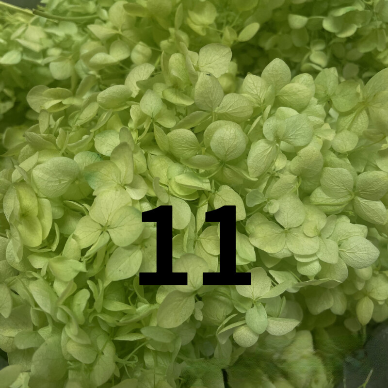 50g Bulk Dried Artificial Flowers for Gift Photograph Props Party Wedding Decor