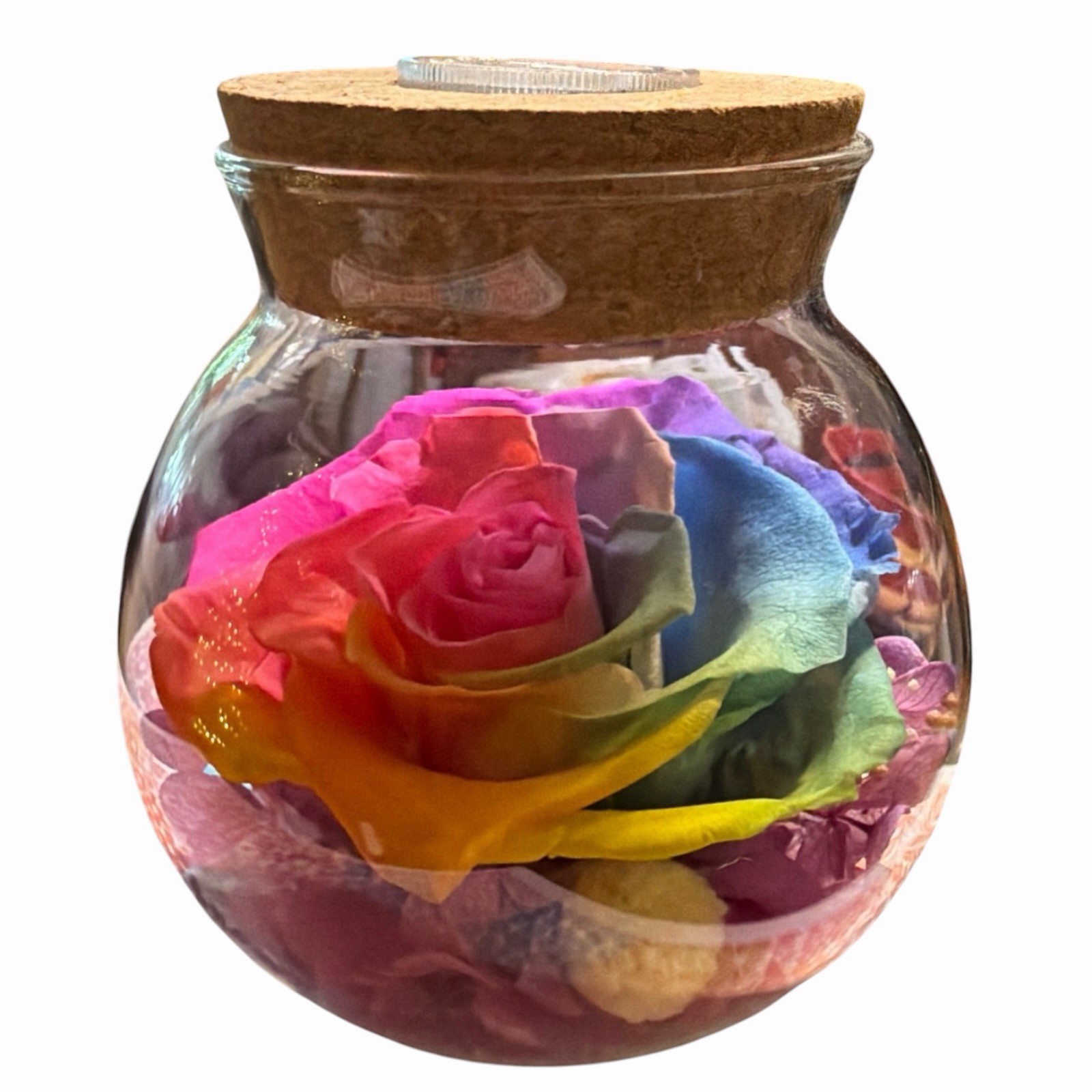 Real Preserved Rose Globe Eternal Rose Multicolor With Light Forever Flowers