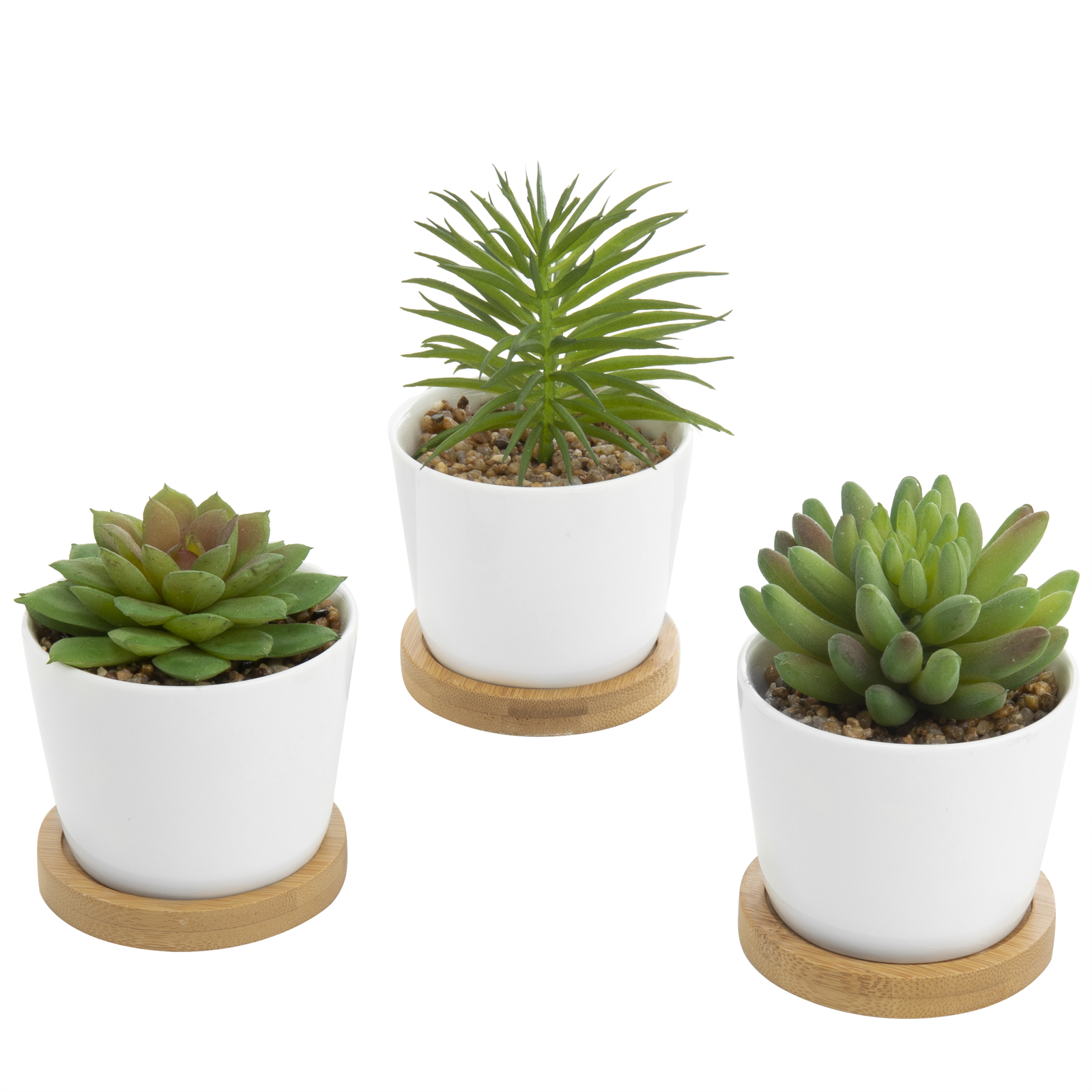 Decorative Faux Succulent Plants in White Ceramic Pots w/Bamboo Saucer, 3 Pots
