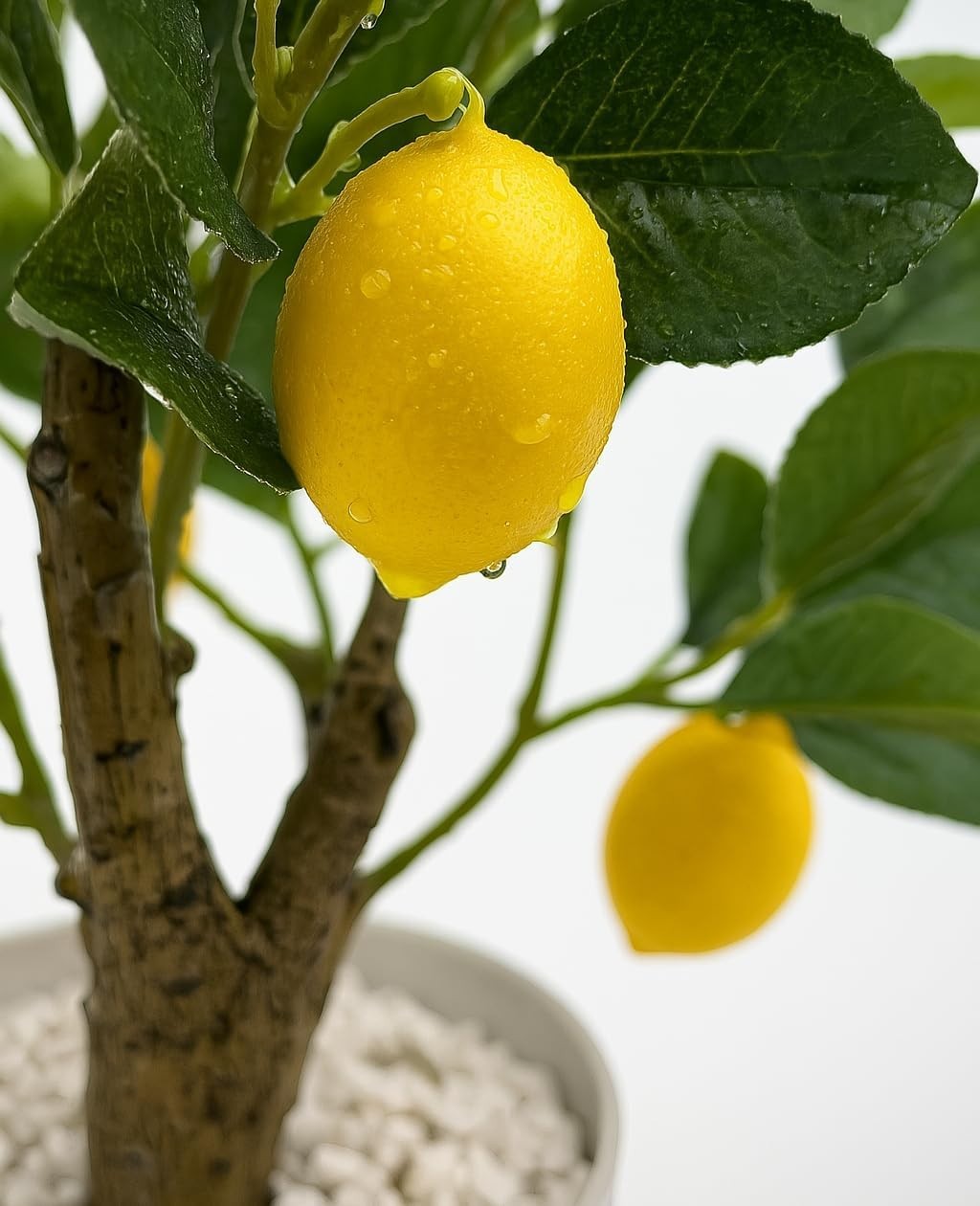 Artificial Lemon Tree with White Pot, 18” Faux Citrus Plant for Kitchen, Bath…