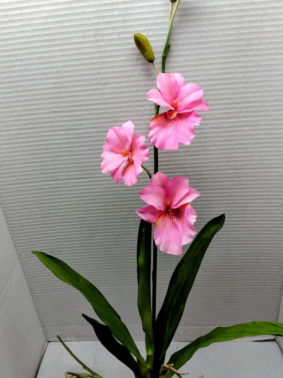 ARTIFICIAL miltoniopsis orchid plant