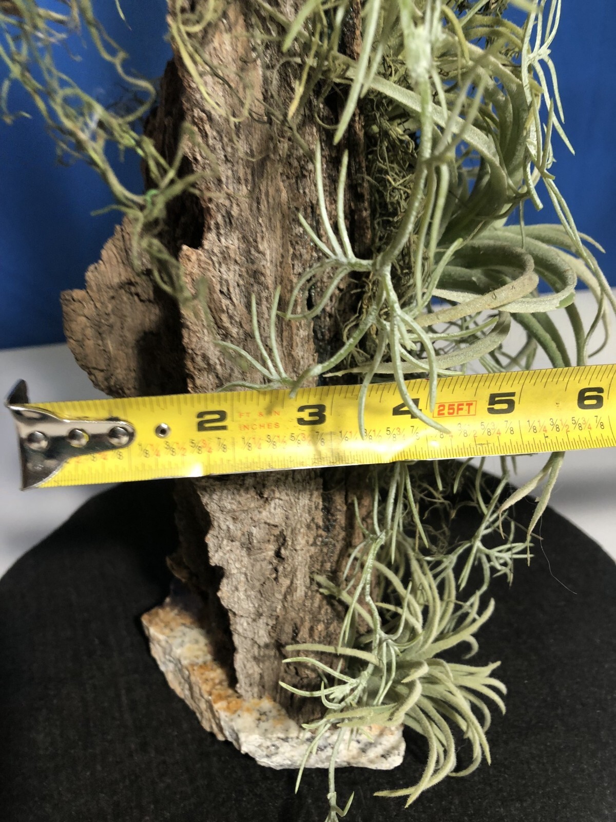 Artificial Succulent Air Plant Home Office Mounted on Real Wood Bark and Stone