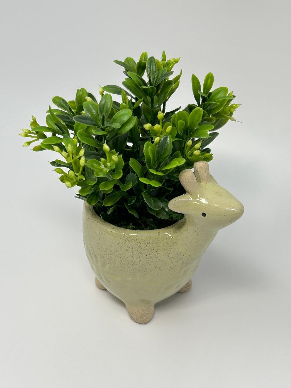 Mini 6″ Artificial Boxwood plastic plant potted in Ceramic DEER Giraffe Pot, han