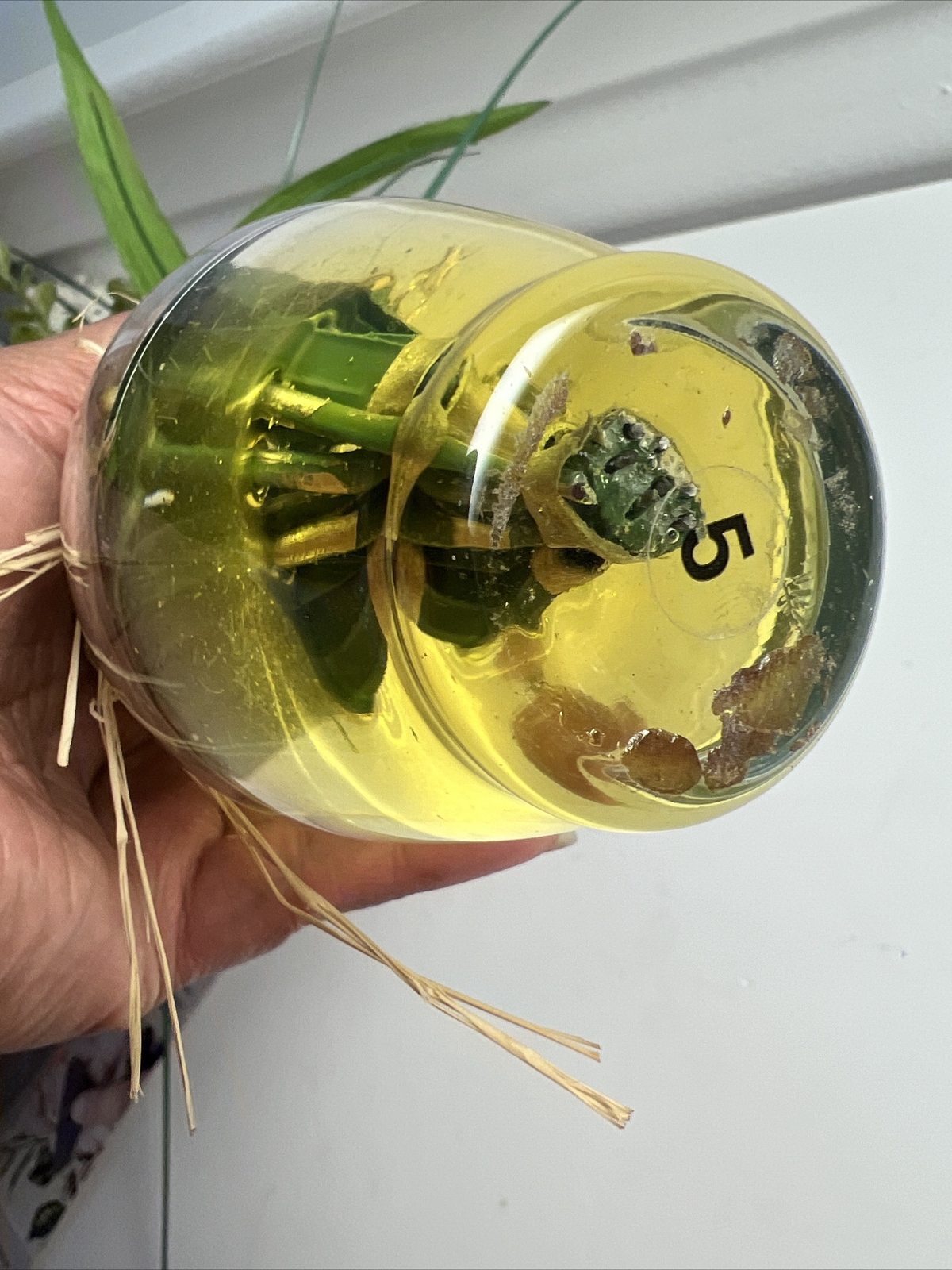Artificial 13” Tall Flowers in Clear Glass Vase Liquid Illusion