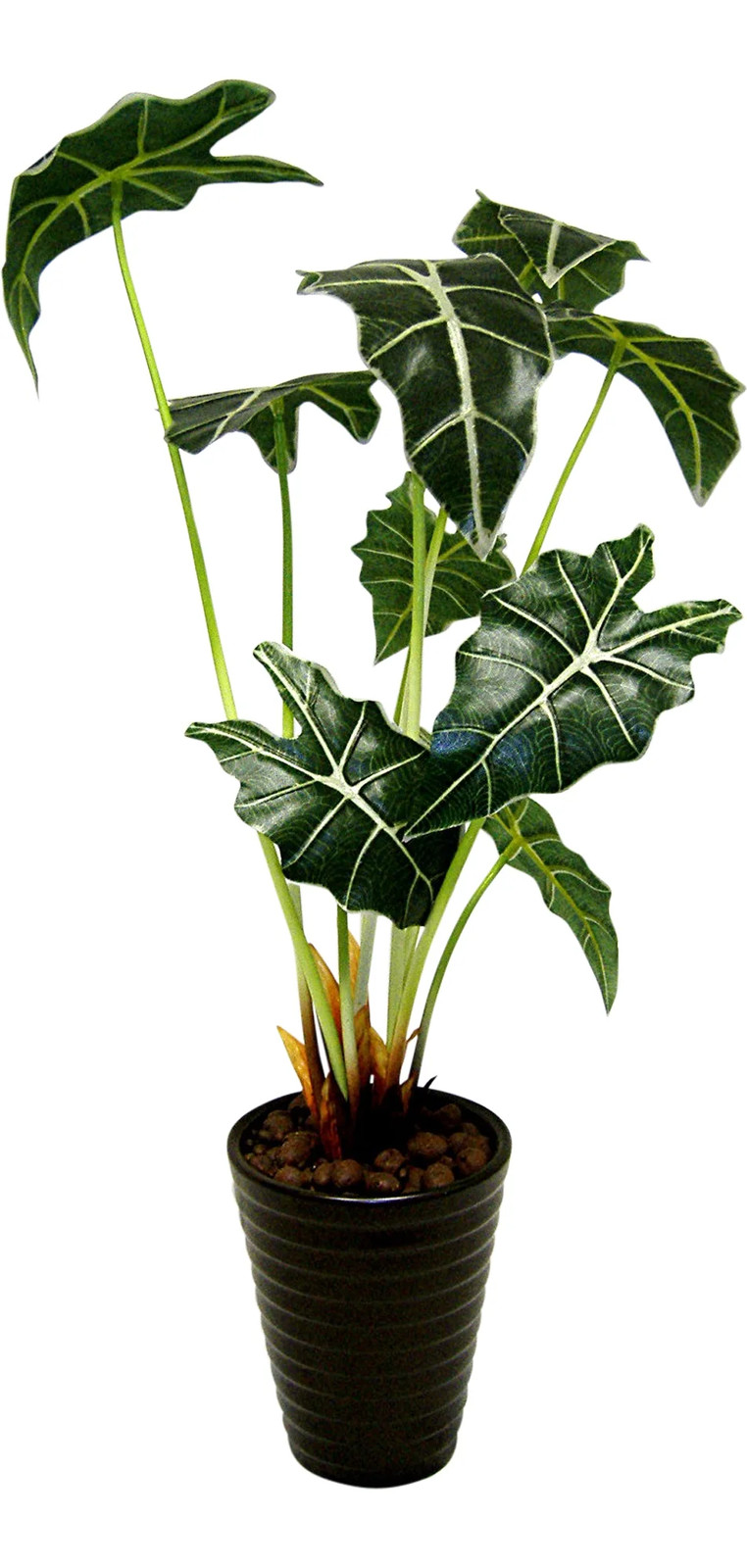 22in Alocasia Bush Artificial Greenery Arrangement in Ceramic Pot (Green, 1)