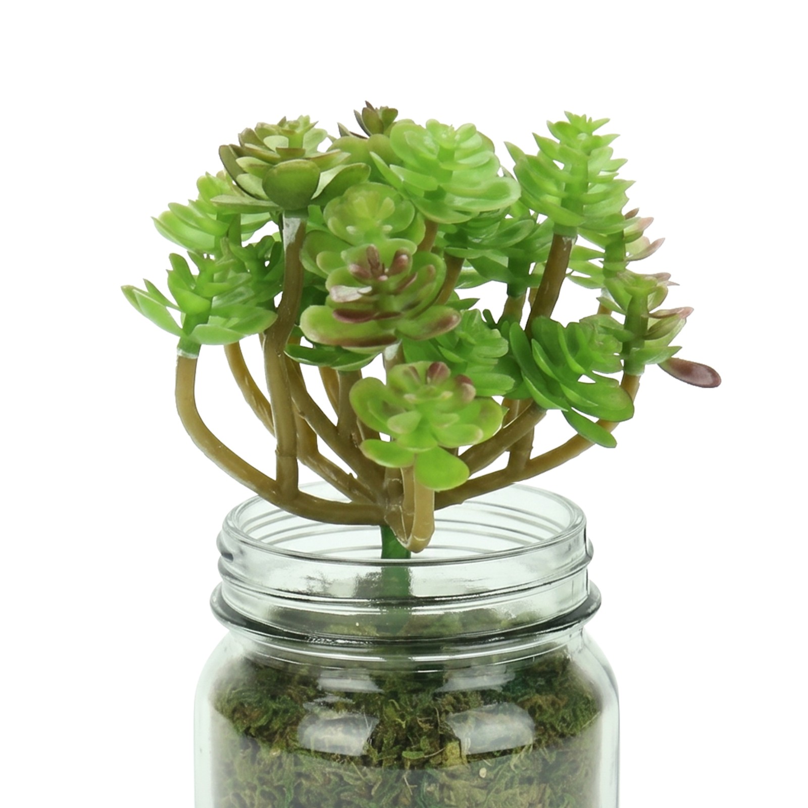 Melrose Artificial Potted Crassula Succulent Plant Glass Jar Burlap Grip 7.25″