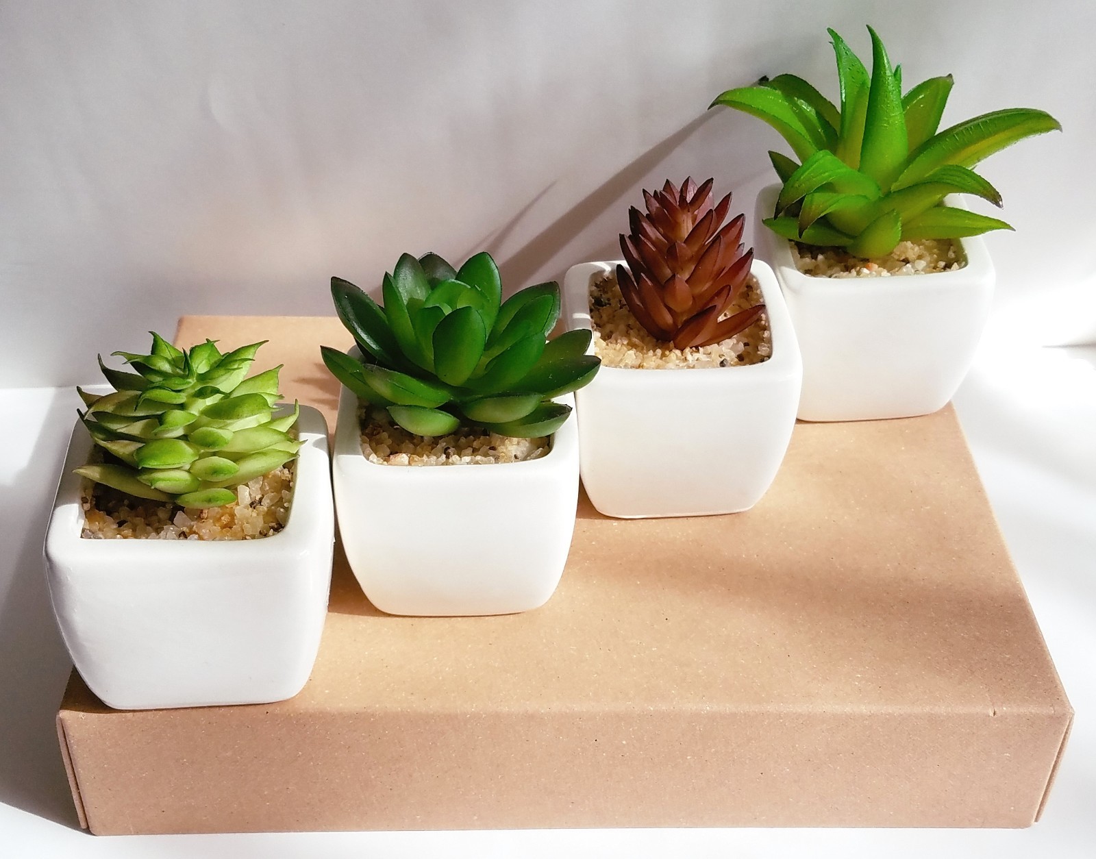 Party Favor Artificial Succulent Set in White Ceramic Pot Mini Plant Home Decor