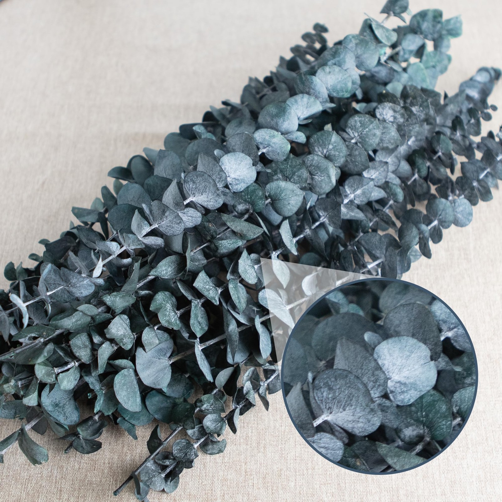 26Pcs Real Dried Eucalyptus Stems, 17″ Blue-Green Preserved Eucalyptus Stems …