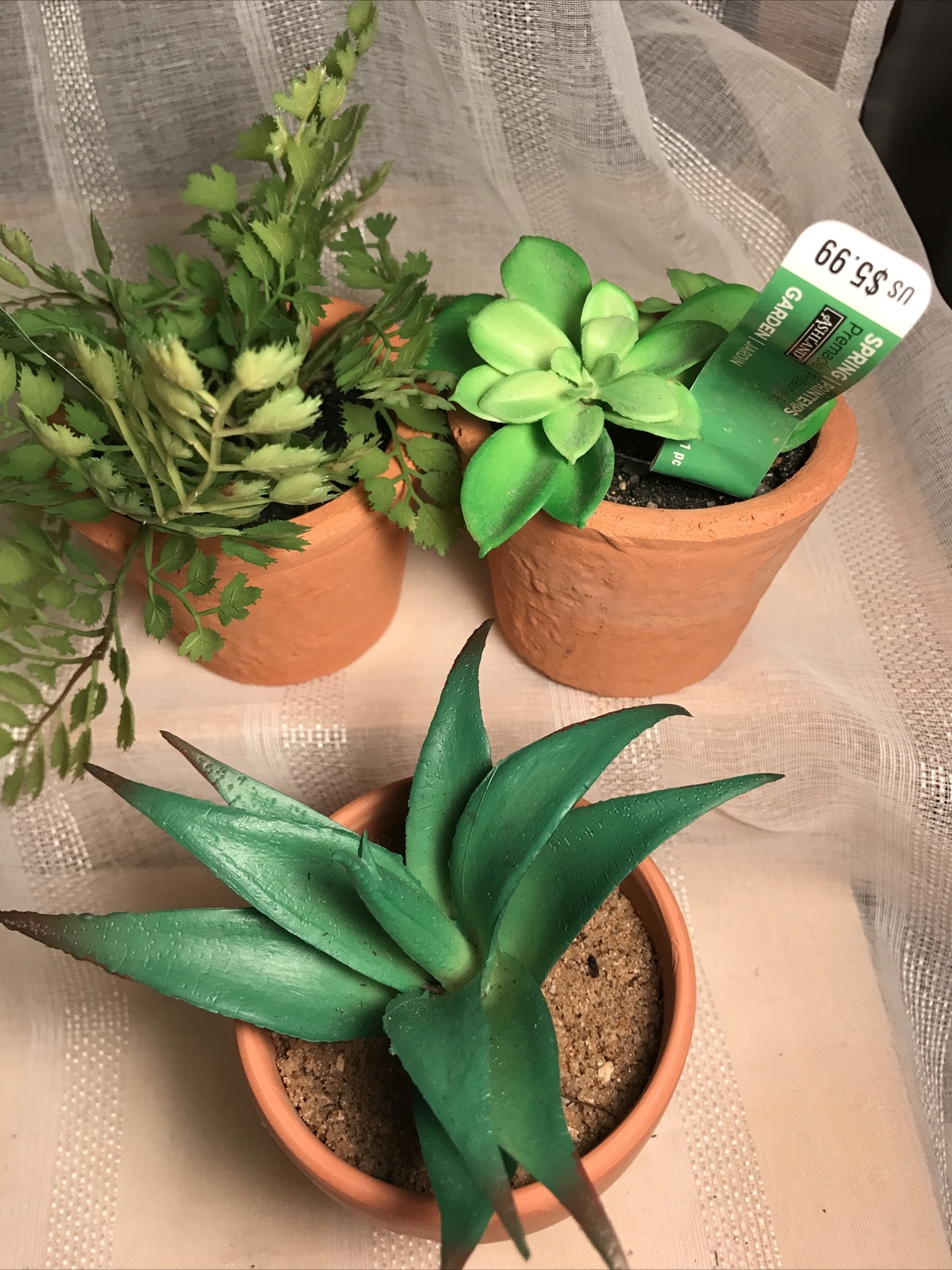 ASHLAND GARDEN Faux Succulent Plants Rustic Pots NWT (3) Floral Decor Home Decor