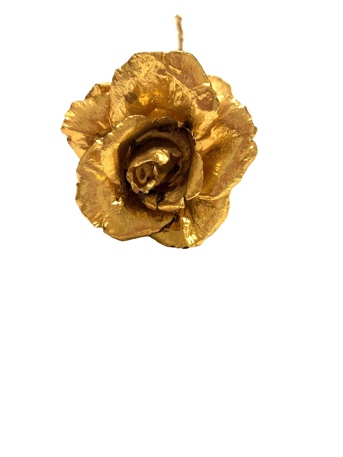 Real Natural Rose Flower Coated Preserved And Dipped In Gold