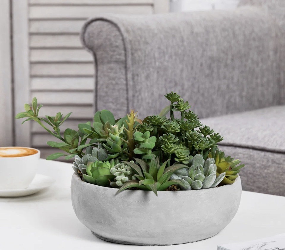 Primrue Benita 7″ Faux Succulent Plant in Cement Pot