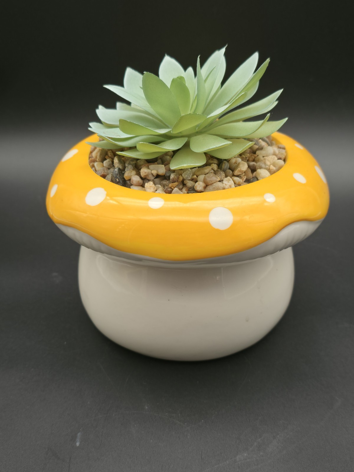 Succulent In Mushroom Pot With Face, Coffee Table Decoration