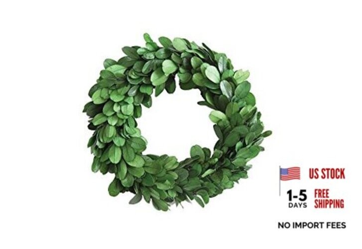 Preserved Boxwood Wreath 6″
