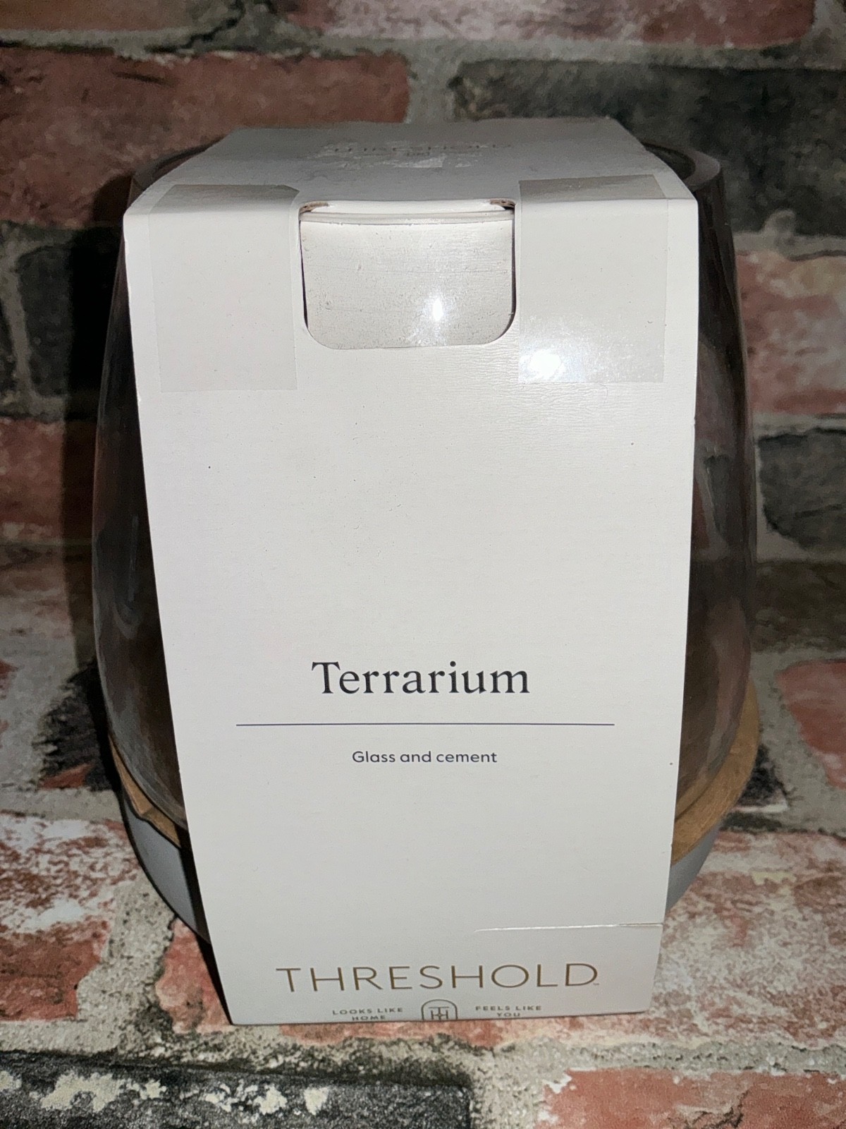Threshold 6″ x 6″ Glass & Cement Terrarium Indoor Outdoor Decor NIB