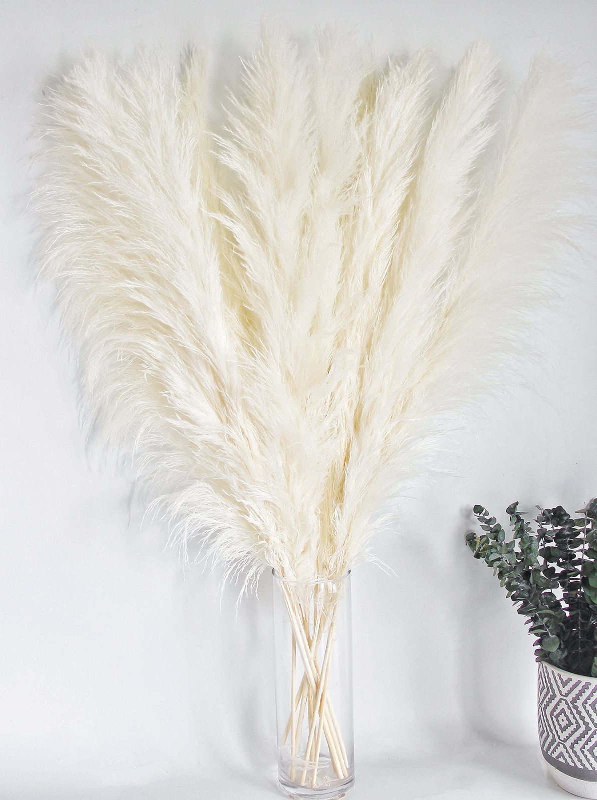 10 Stems 46″ inch White Pampas Grass Decor Tall Large Pompas Boho Neutral Home