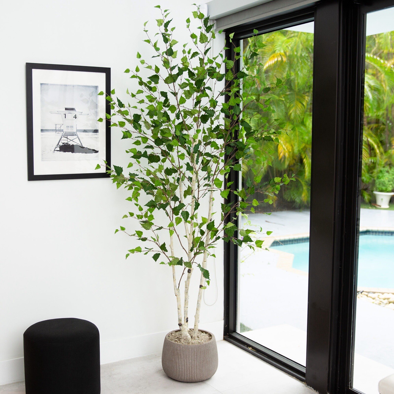 7’ Artificial Birch Tree Home Decor. Retail $259