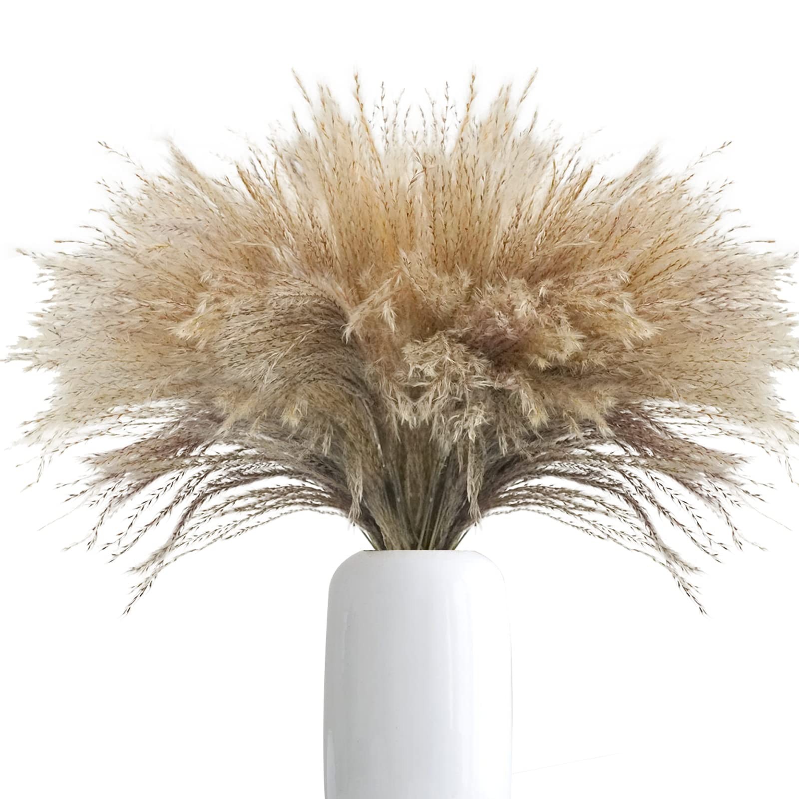 100Pcs Natural Dried Pampas Grass Plume 17inch Tall Dried Flowers Large Faux …