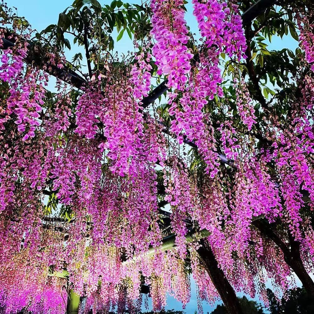 12/24PCS Artificial Wisteria Hanging Flower Vines Garland Strings Wedding Decor