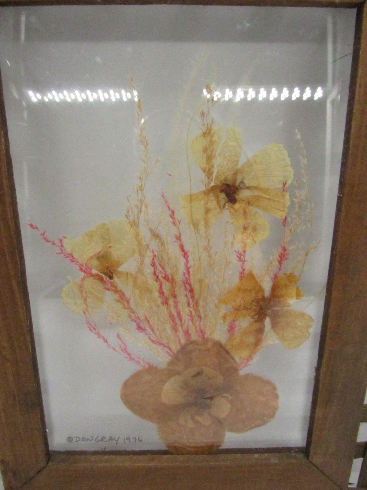 Vintage Don Gray 1976 Dried Floral Glass Pressed Art Wall Hanging Wood Frame