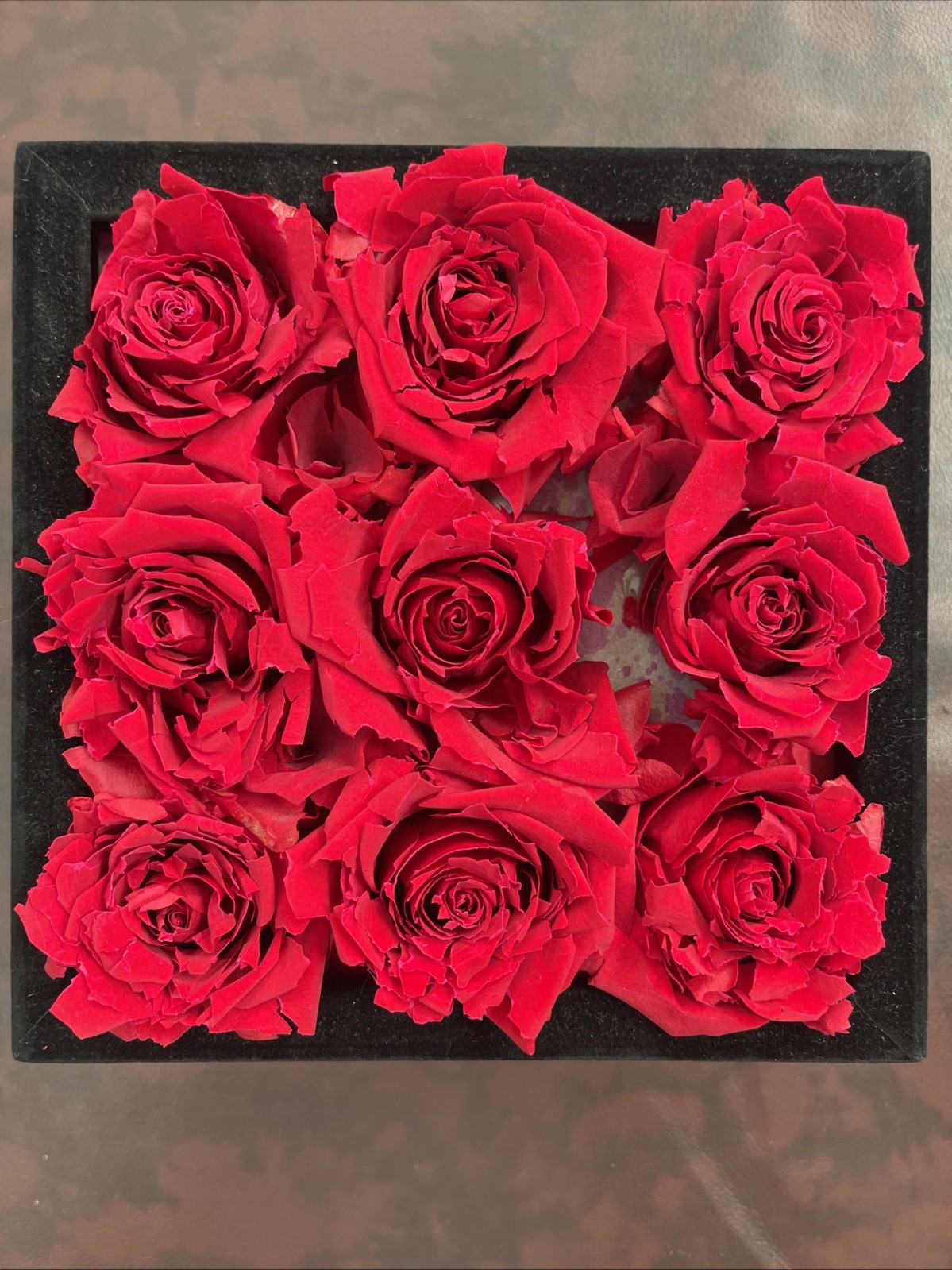 Rose Forever New York 9 Red Roses Black Velvet Square Flower Box Display Decor