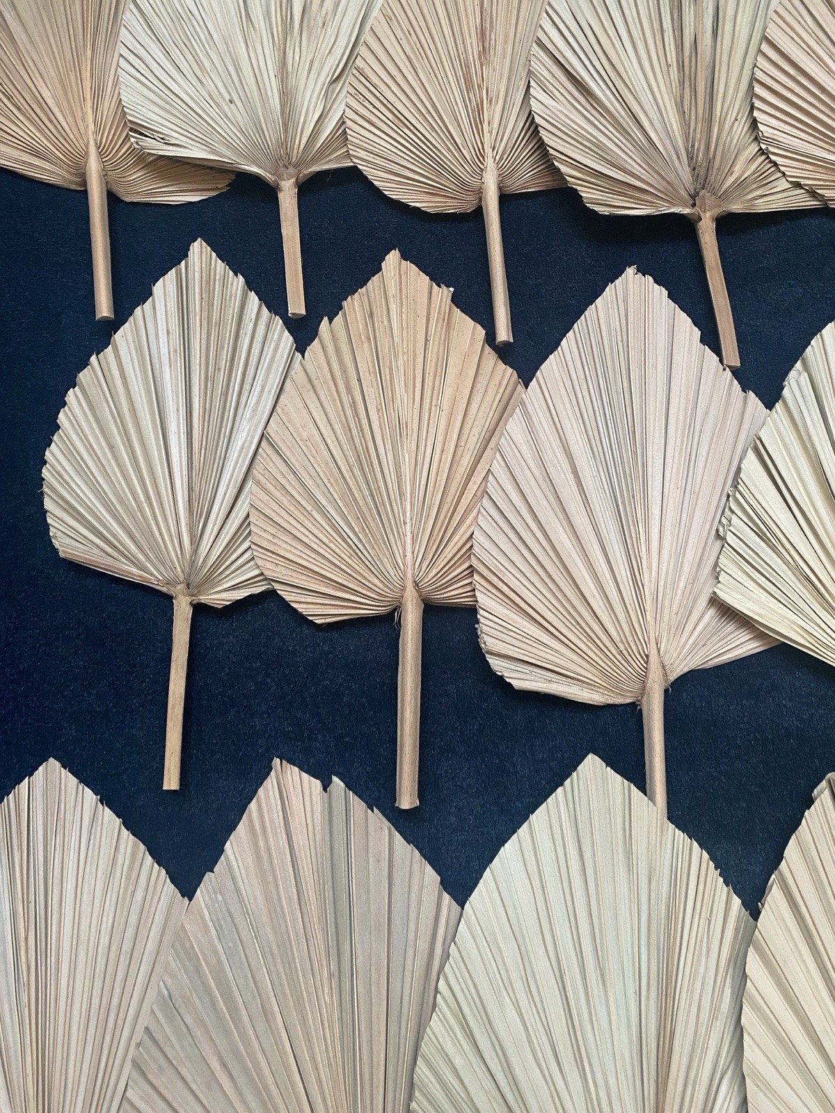 Lot Of 72 Dry Palm Leaves Natural Home Wedding Decor Boho, 42 Large, 30 Small