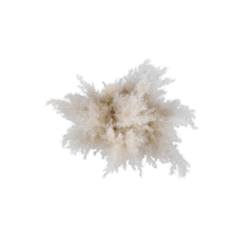 Dried Pampas Grass Arrangement in Brown Ceramic Vase Natural Home Office Decor