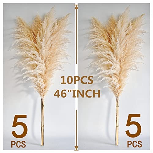10 Stems 46″ inch Dried Pampas Grass Decor Tall, Large Pompas 10PCS-46inch