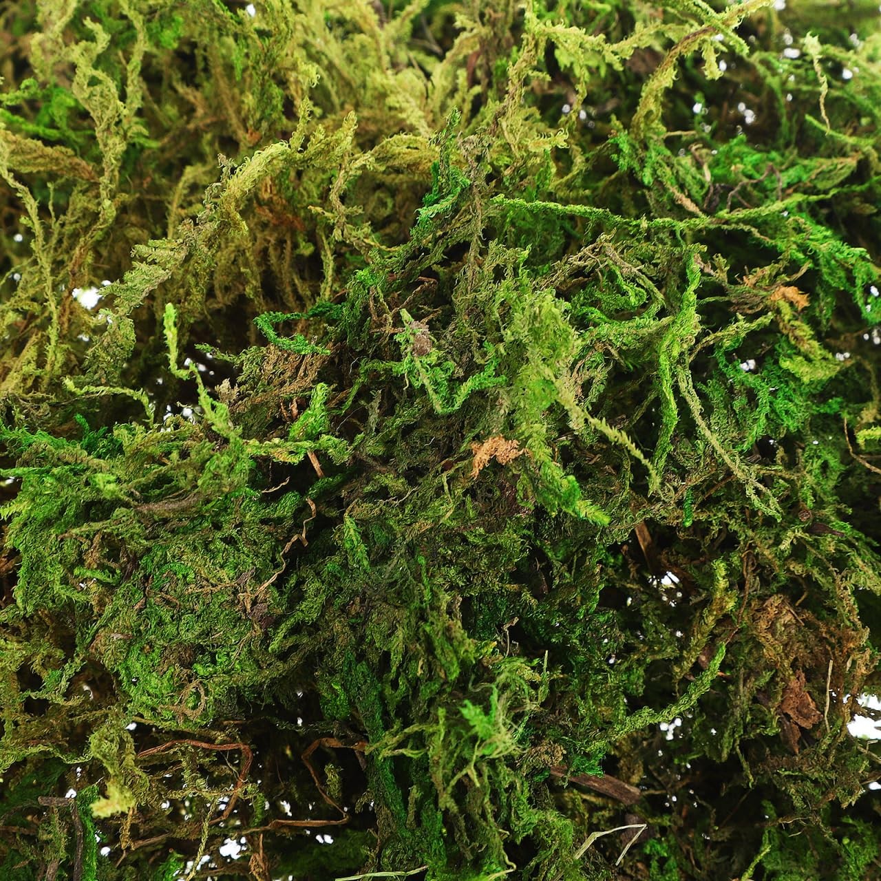 Artificial Fake Moss Green Decorative Faux Moss for Plants Indoor Crafts Home…