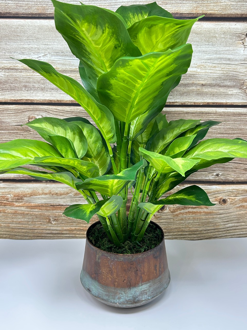 18″ Lg Artificial AGLAONEMA DIEFFENBACHIA faux Silk plant in Copper Pot