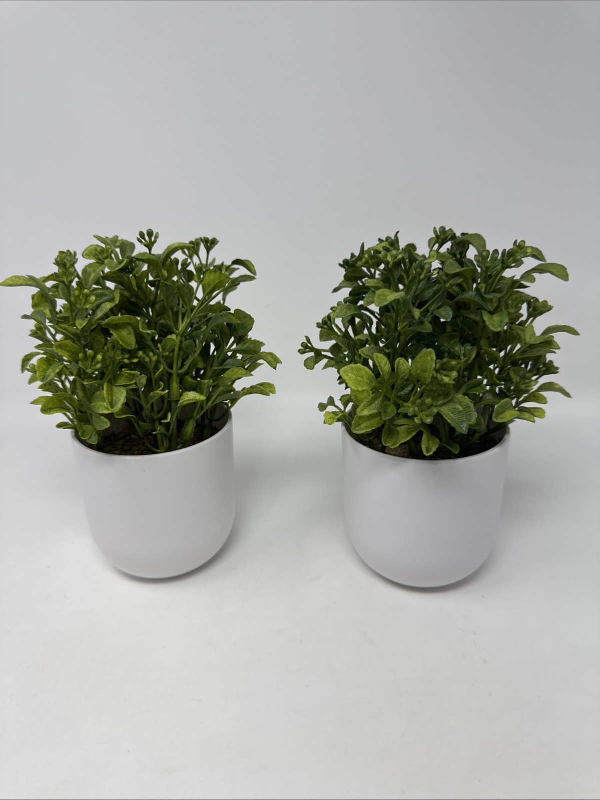 2 Threshold Artificial Plants – 8″ Mini Boxwood Green / White Pot -NEW