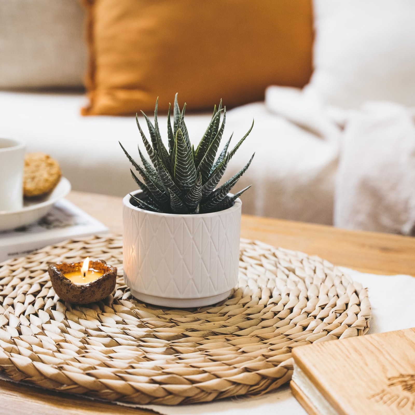 Artificial Succulent Plant in Matte White Ceramic Pot | 7″ high Dark Green Al…