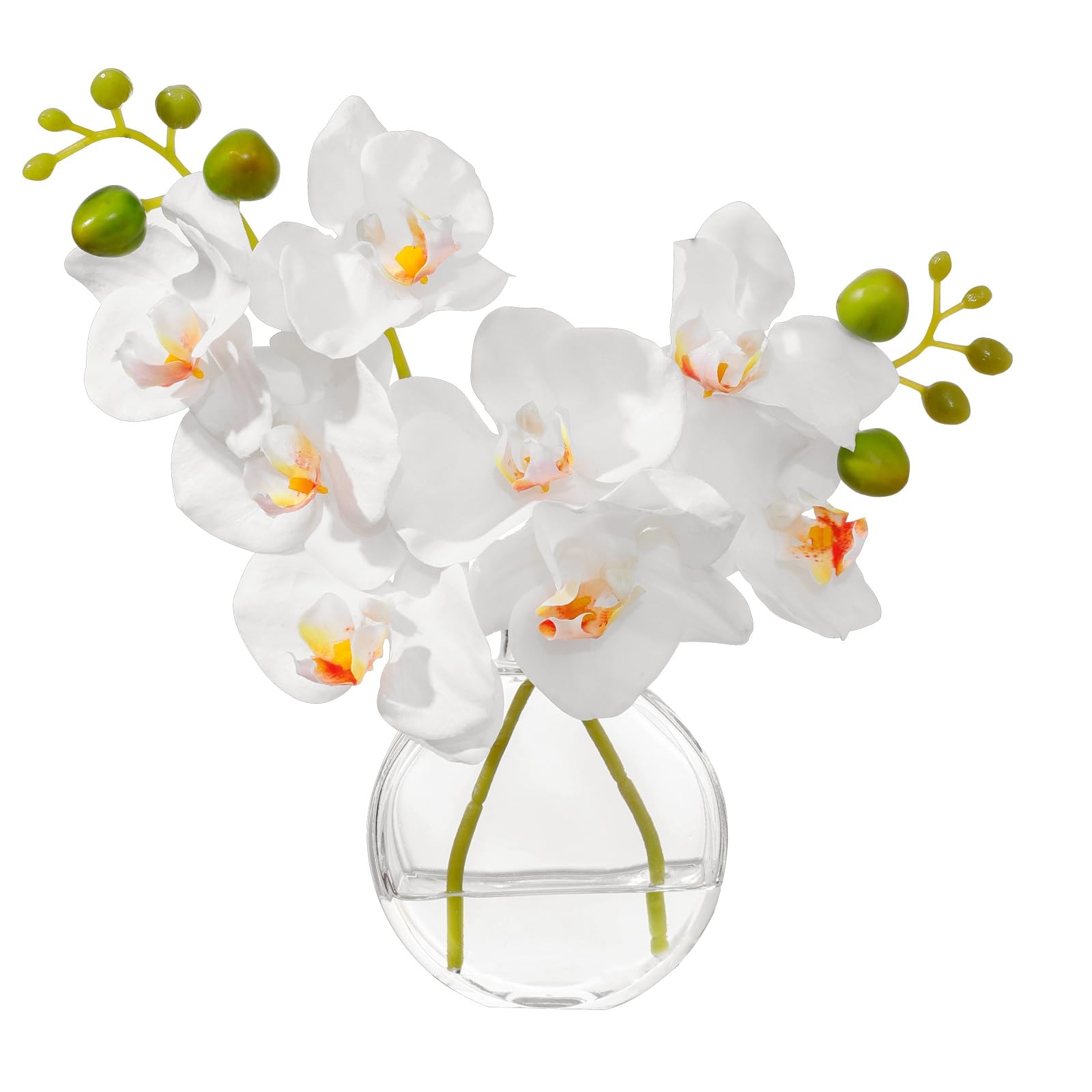 White Textured Coated Silk Artificial Orchid Flowers with Clear Glass Vase an…