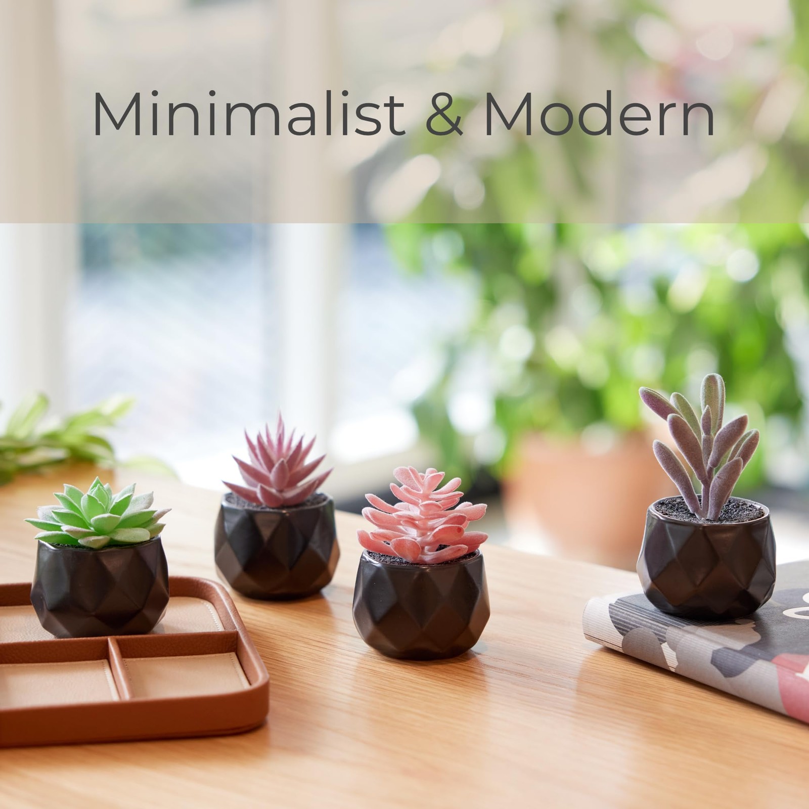 Nordik Set of 4 Desk Plants – Geometric Round Black Pots – Perfect for Bathro…