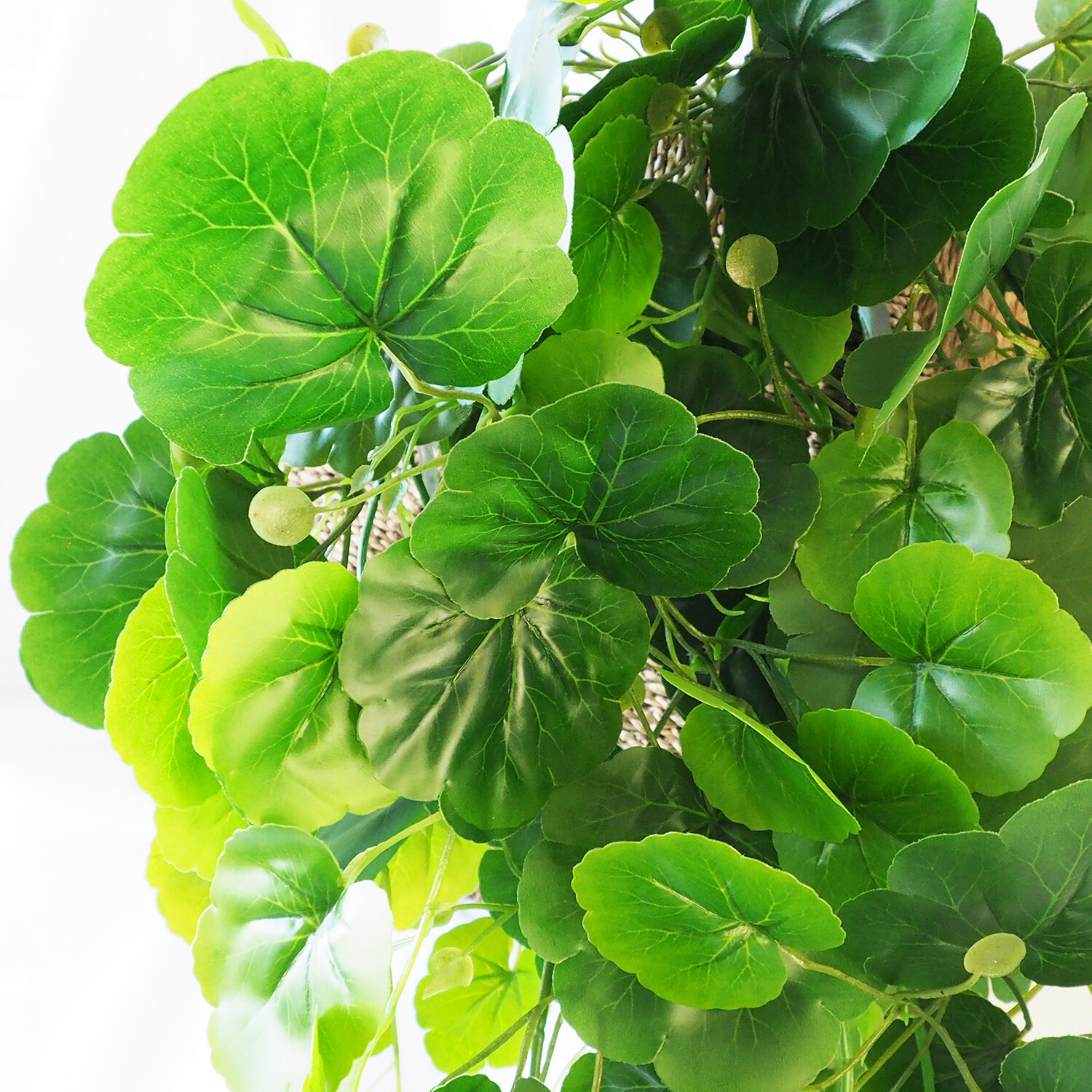 Houssity 1/ 2/ 10 PCS Artificial Ivy Vines Hanging Garland Plant Indoor Outdoor