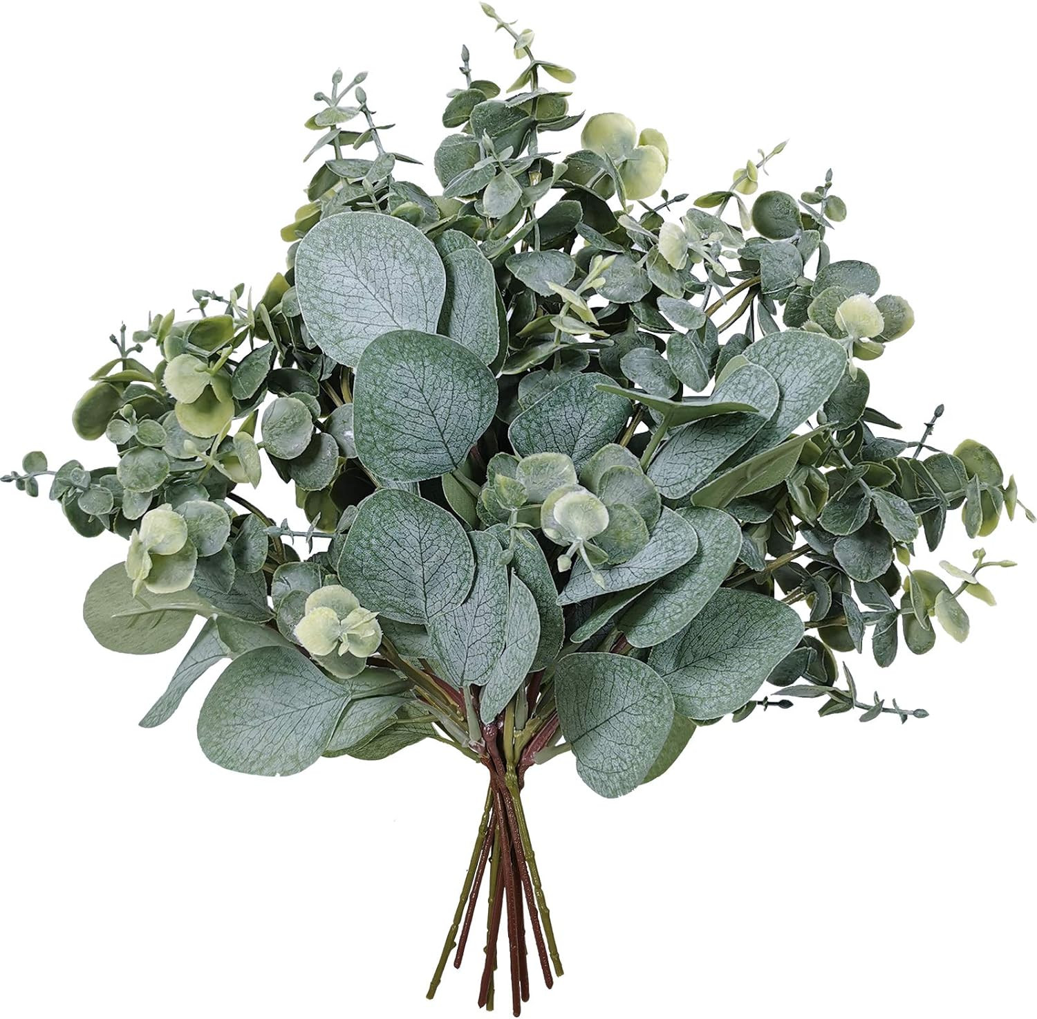 10 Pcs Mixed Eucalyptus Leaves Stems Bulk Artificial Silver Dollar Picks Faux Br