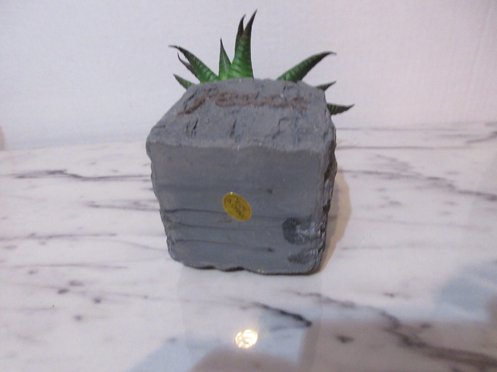 Floral Decor Artificial 5″ dia Green Succulent Cactus in Pot 3 in Square PEACE